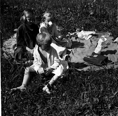 1954PicknickvidLångsjön.jpg