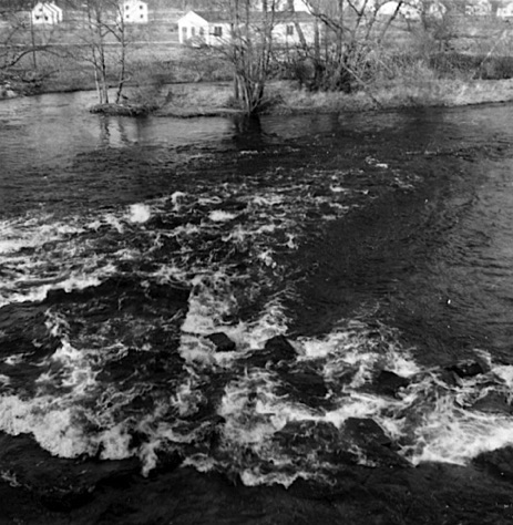 1954SemesteriFridslundmajEmån.jpg