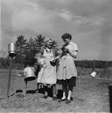 1954SemesteriFridslundmajMoroGullan.jpg