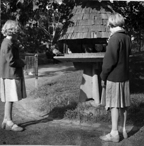 1954Vidduvslaget.jpg